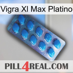 Vigra Xl Max Platinum viagra1